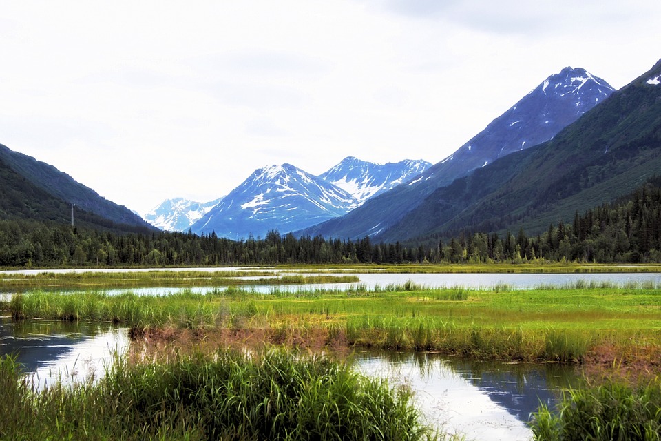 You haven't lived until you've seen the beauty of Alaska nature.